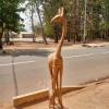 Girafe 