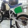 Moto WMX 250