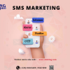 KING SMS PRO