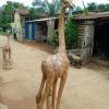 Girafe 